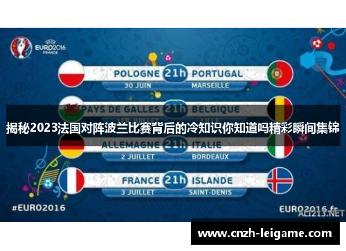 揭秘2023法国对阵波兰比赛背后的冷知识你知道吗精彩瞬间集锦