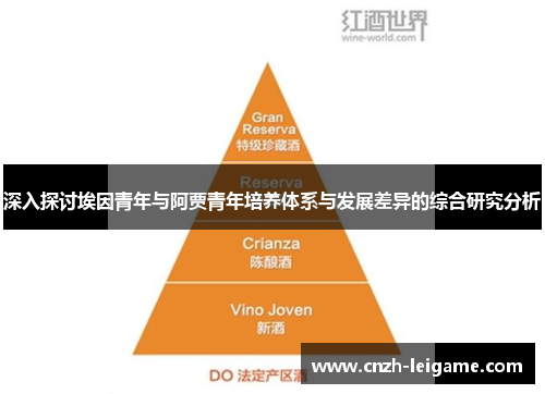 深入探讨埃因青年与阿贾青年培养体系与发展差异的综合研究分析